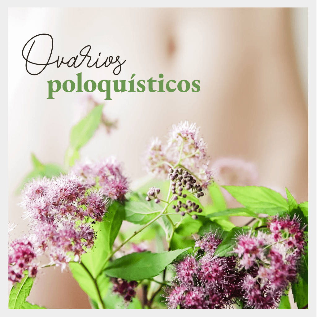 Ovarios Poliquisticos | Medicina