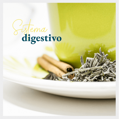 Sistema Digestivo
