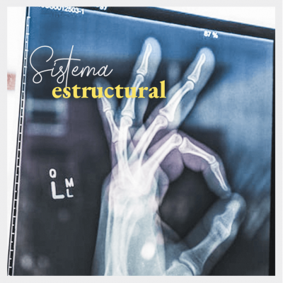 Sistema Estructural