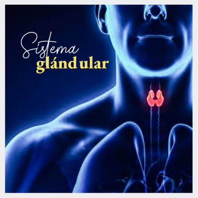 Sistema Glándular